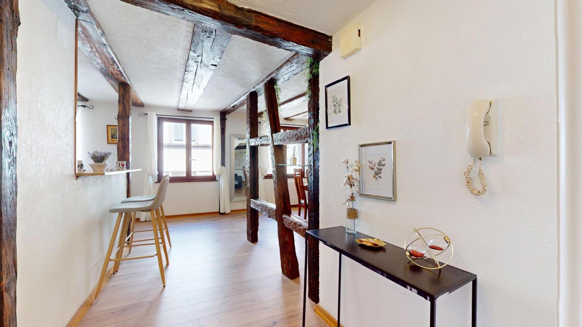 Au Petit Vauban 2 Chambres & Parking Колмар Екстериор снимка